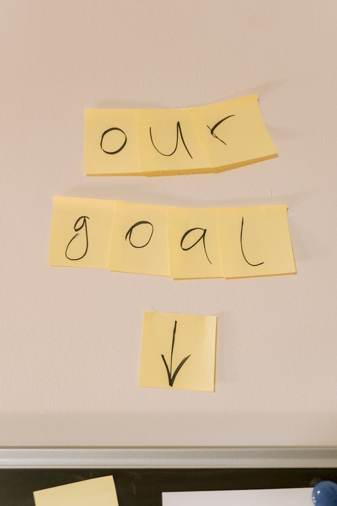 Our goal objective